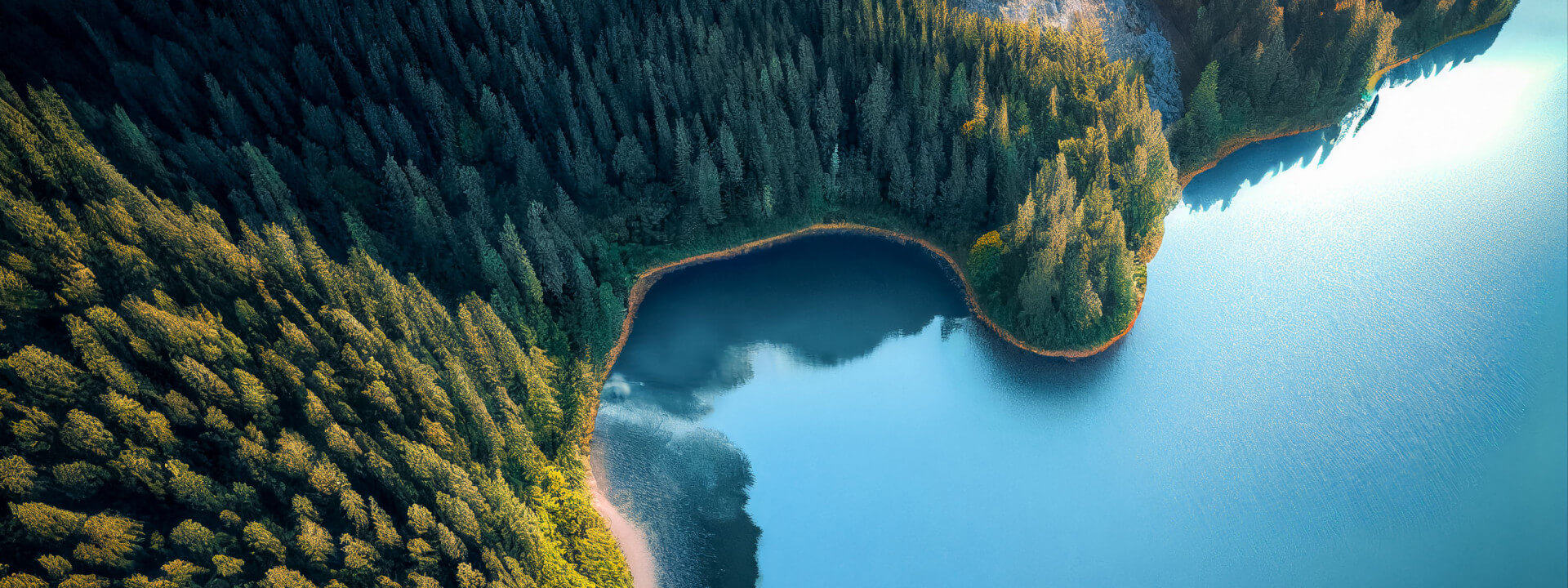 VFS course1 cover image